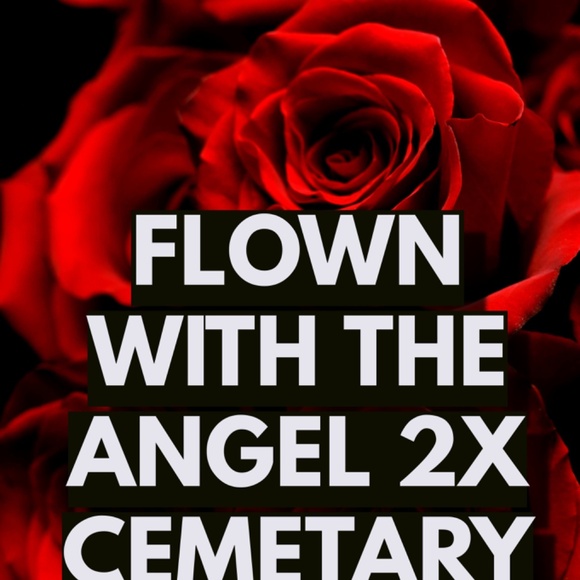 These original cups of mine were sold with my signature and $ given to fraudster - Picture 2 of 2